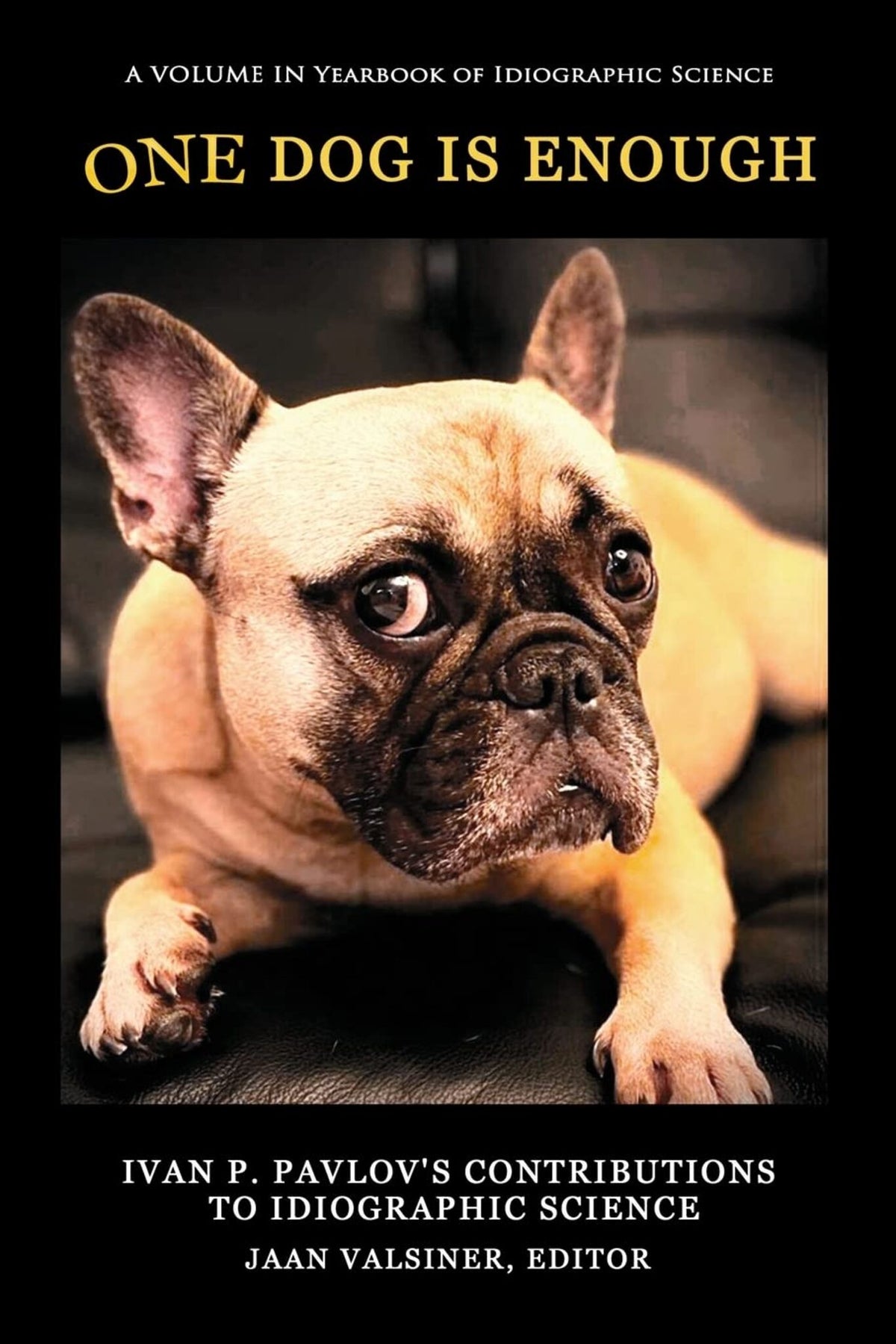 Cover image for One Dog Is Enough ISBN 9781648028120