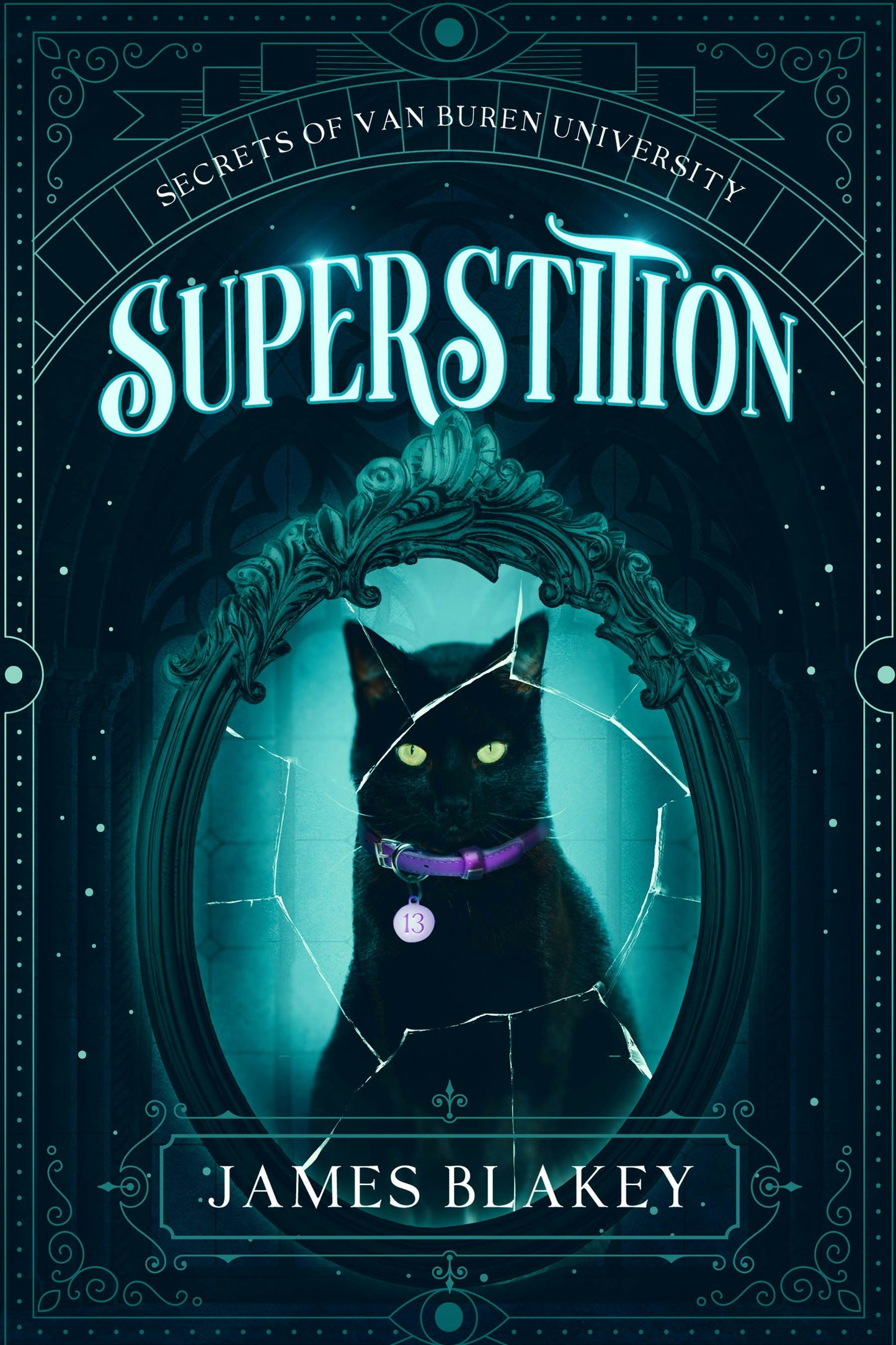 Book cover image for Superstition ISBN: 9781648985102