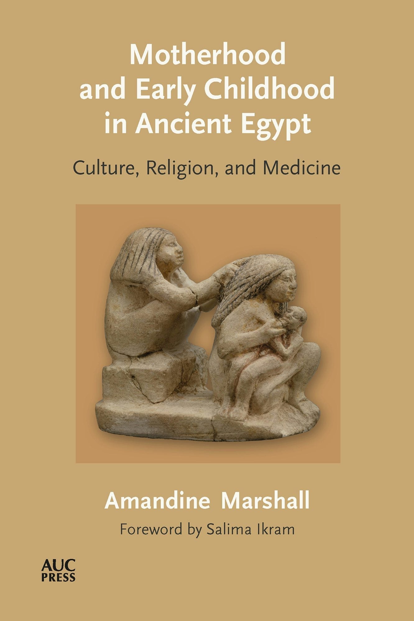 Book cover image for Motherhood and Early Childhood in Ancient Egypt ISBN: 9781649030900