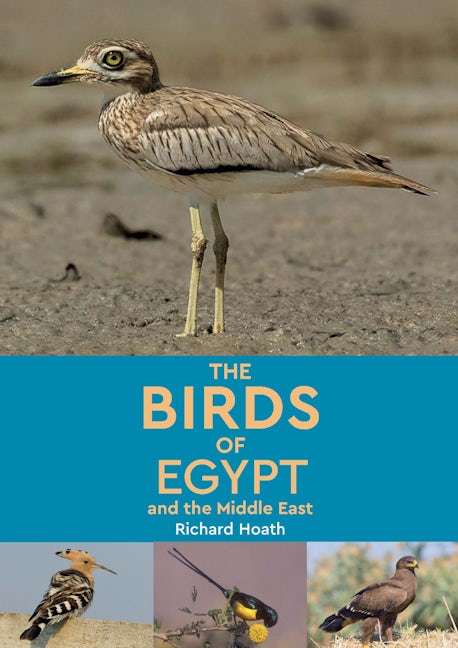 Book cover image for The Birds of Egypt and the Middle East ISBN: 9781649031242
