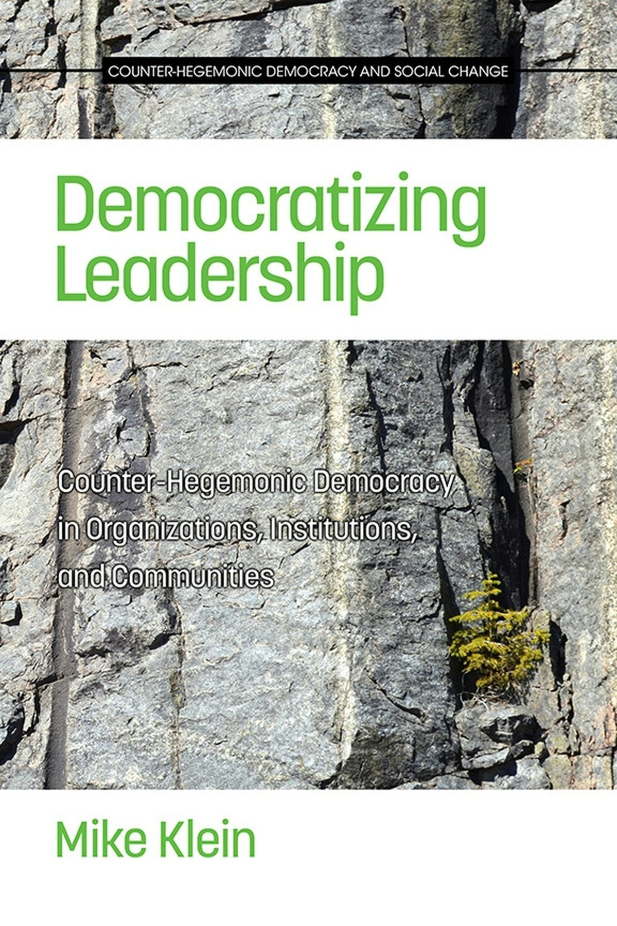 Book cover image for Democratizing Leadership ISBN: 9781681233338