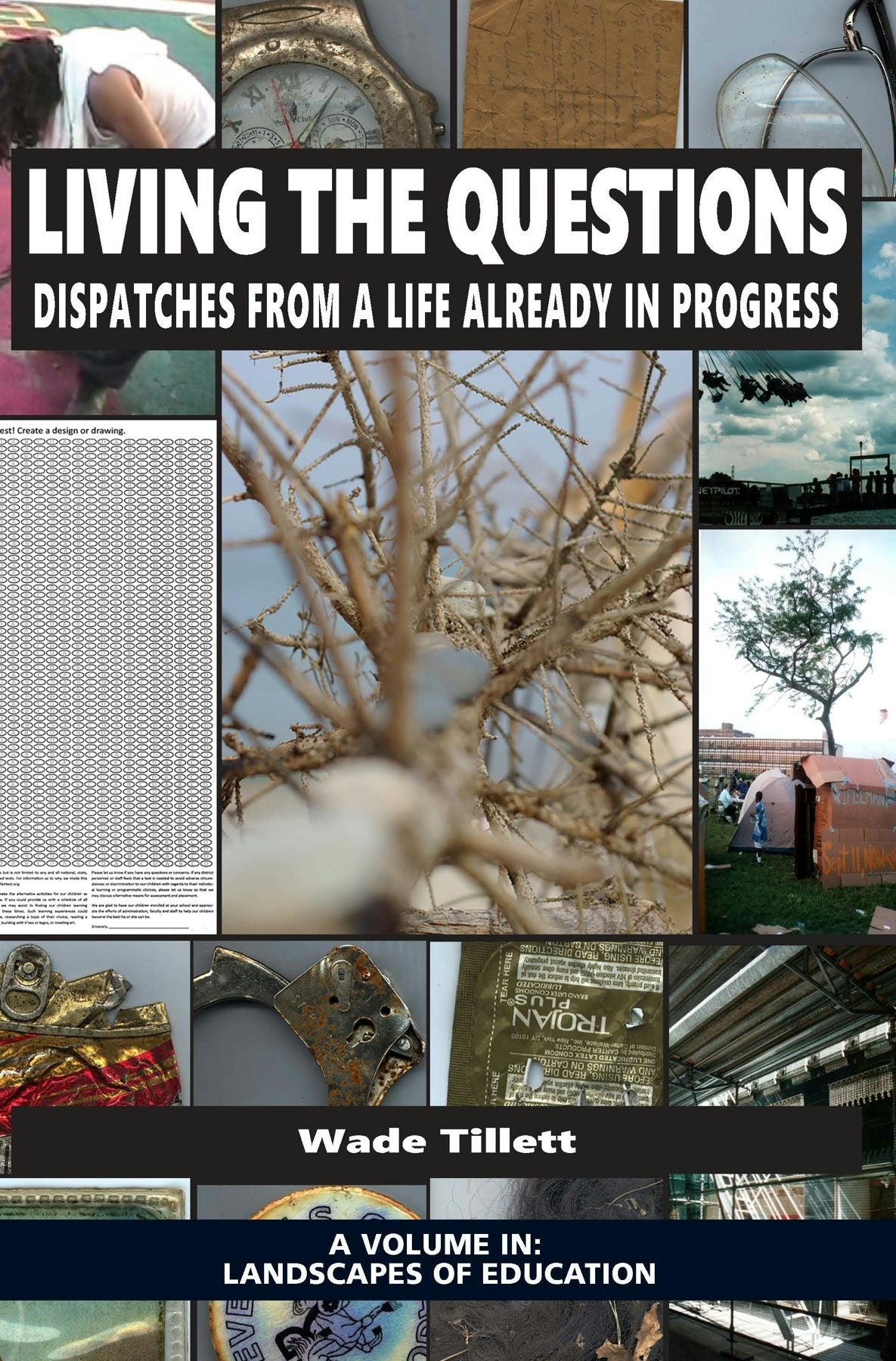Book cover image for Living the Questions ISBN: 9781681238470