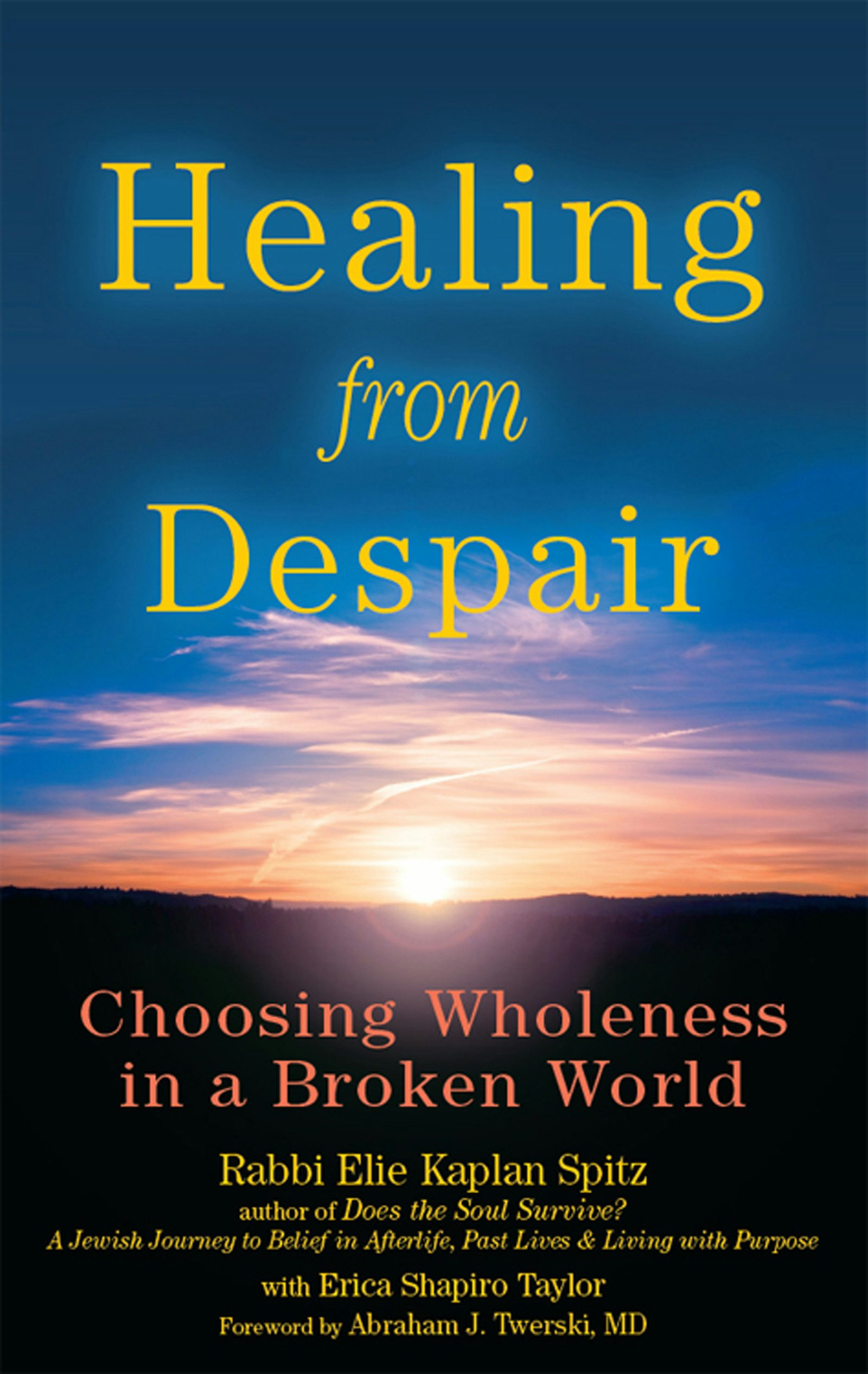 Book cover image for Healing from Despair ISBN: 9781683361077