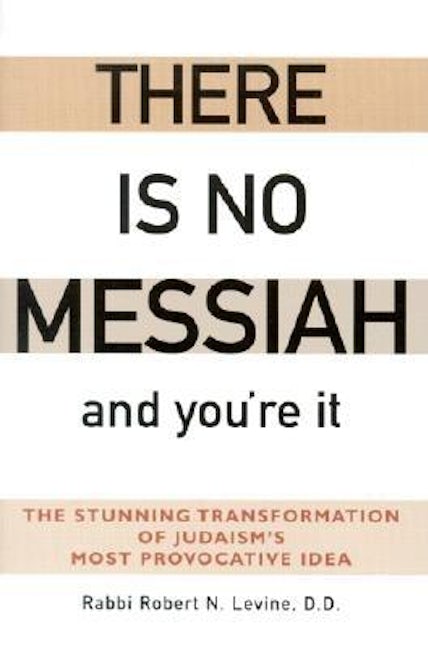 Book cover image for There Is No Messiah—and You're It ISBN: 9781683364610