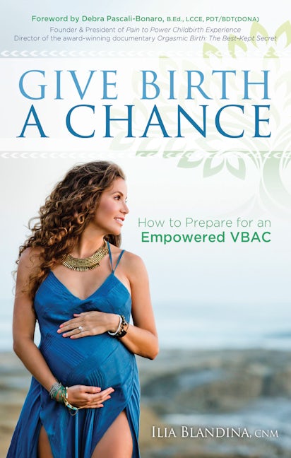 Book cover image for Give Birth a Chance ISBN: 9781683505198