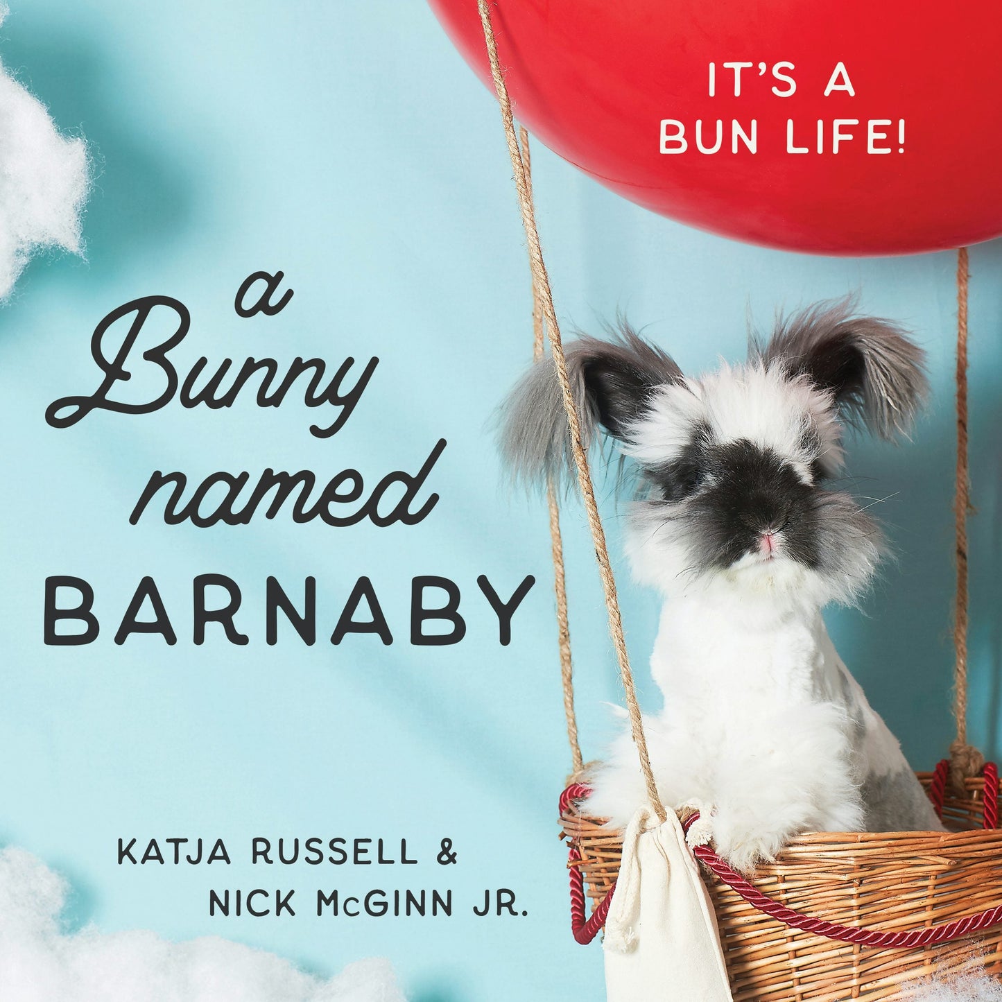 Book cover image for A Bunny Named Barnaby ISBN: 9781684422159