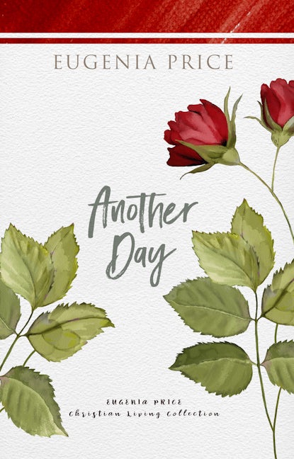 Book cover image for Another Day ISBN: 9781684427376