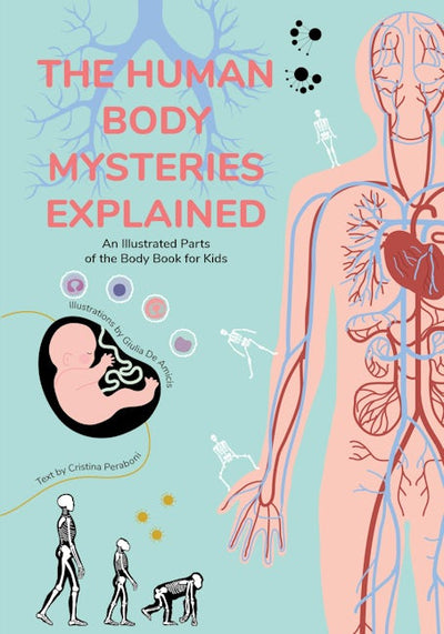 The Human Body Mysteries Explained