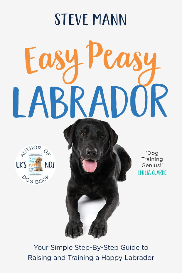 Cover image for Easy Peasy Labrador, isbn: 9781684815036