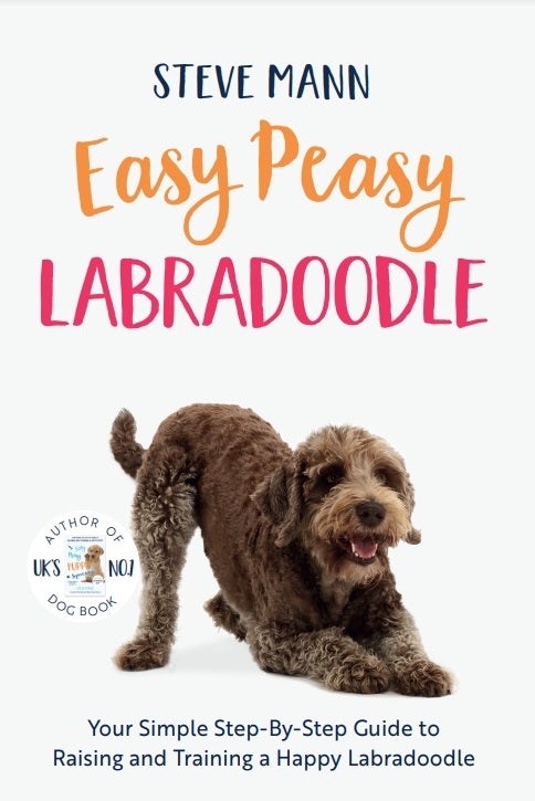 Cover image for Easy Peasy Labradoodle, isbn: 9781684815050