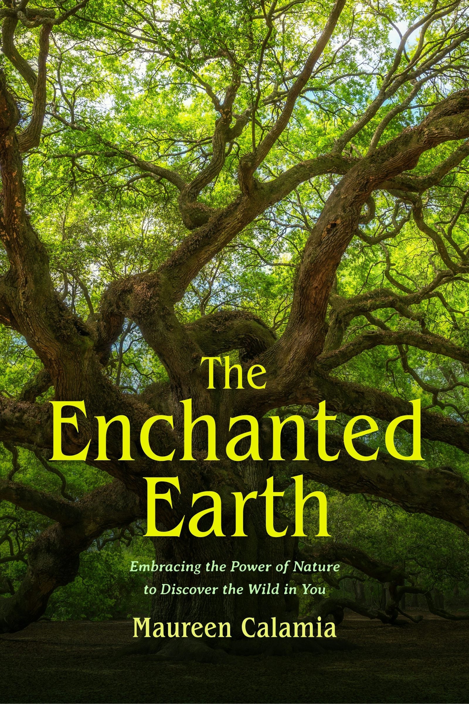 Book cover image for The Enchanted Earth ISBN: 9781684816859