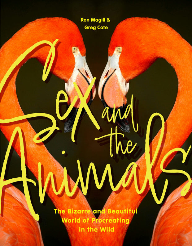 Cover image for Sex and the Animals, isbn: 9781684818754