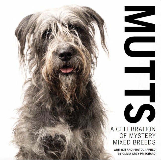 Book cover image for MUTTS ISBN: 9781733634175
