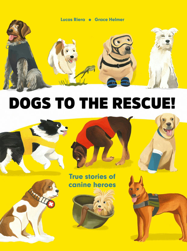 Cover image for Dogs to the Rescue, isbn: 9781739099039