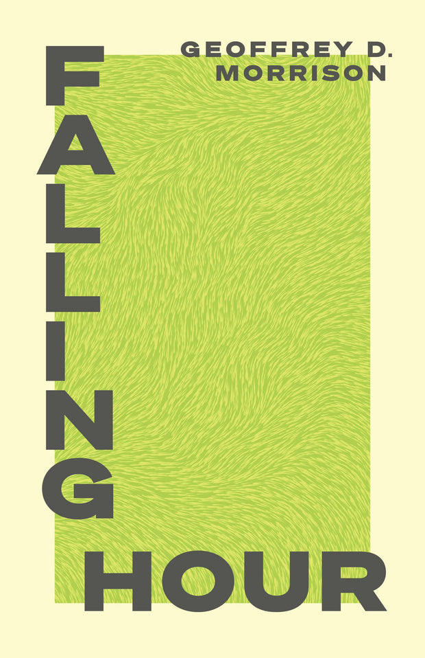 Cover image for Falling Hour, isbn: 9781770567290