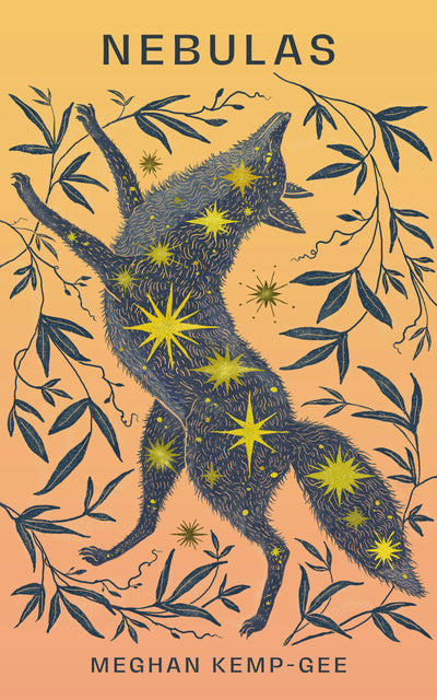 Cover image for Nebulas, isbn: 9781770569041