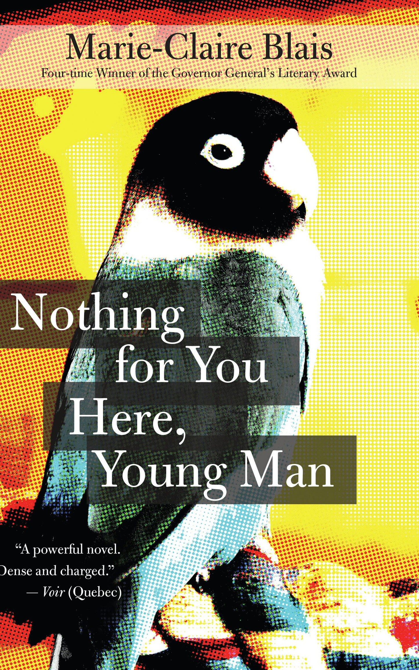 Book cover image for Nothing for You Here, Young Man ISBN: 9781770893573