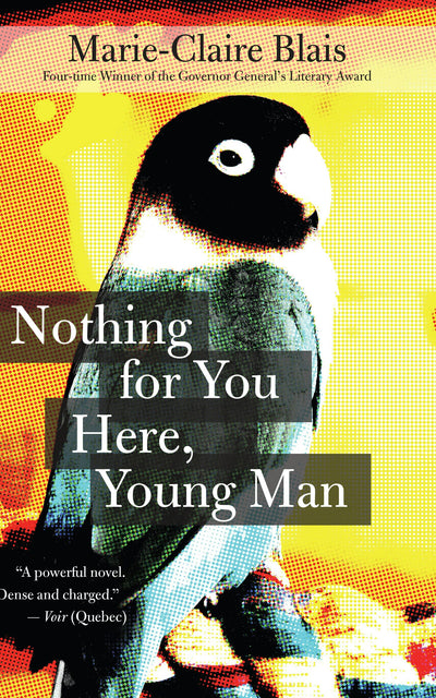 Cover image for Nothing for You Here, Young Man, isbn: 9781770893573