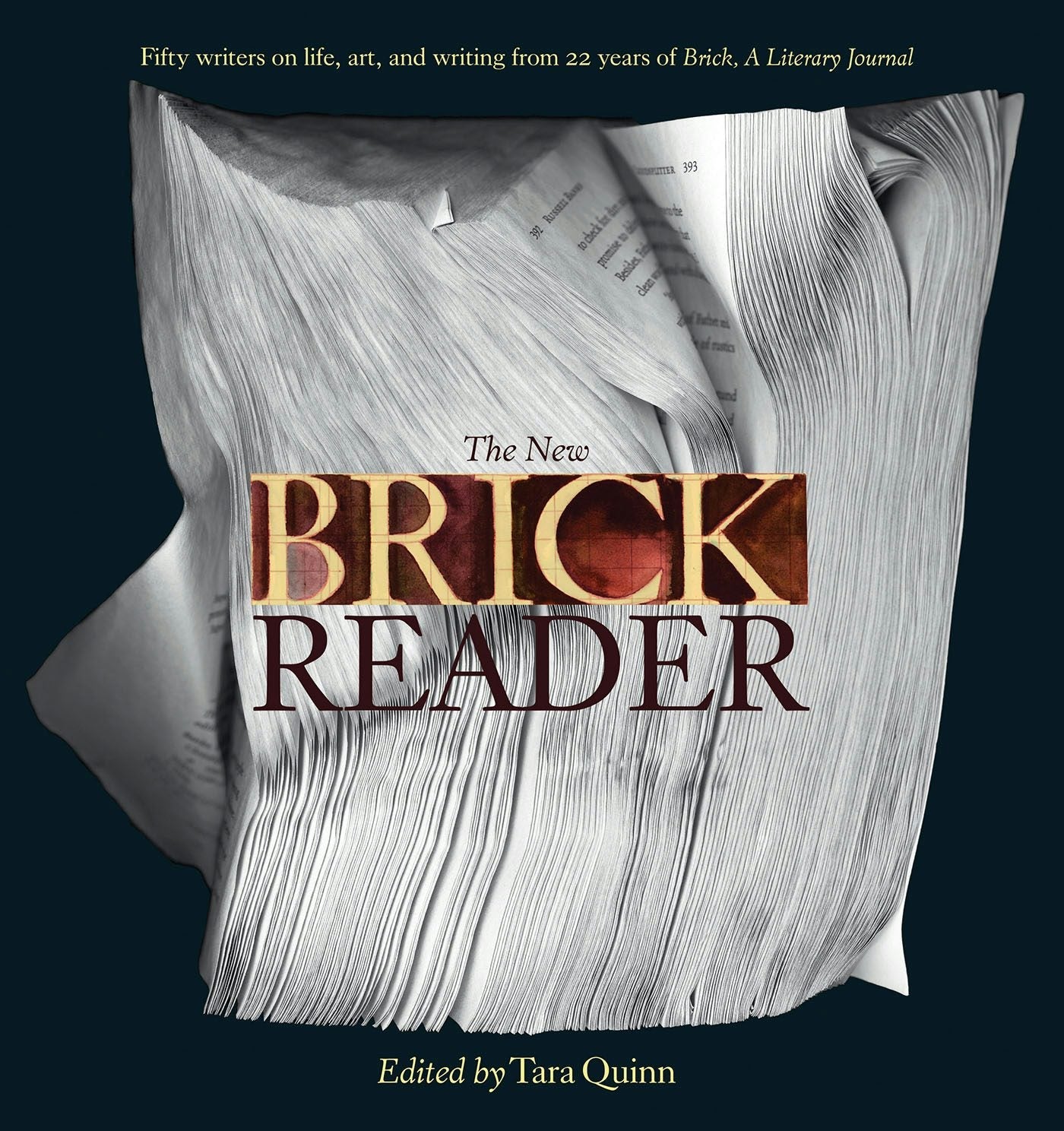 Book cover image for The New Brick Reader ISBN: 9781770894082