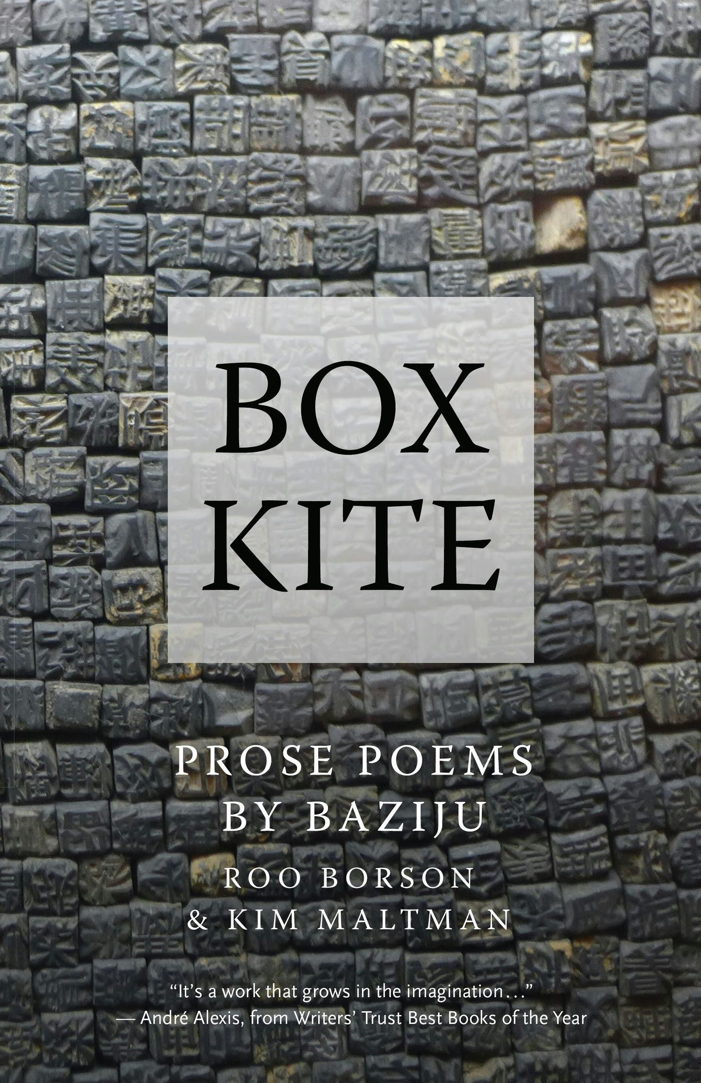 Book cover image for Box Kite ISBN: 9781770899629