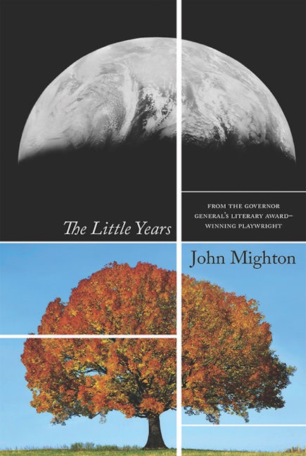 Book cover image for The Little Years ISBN: 9781770911109