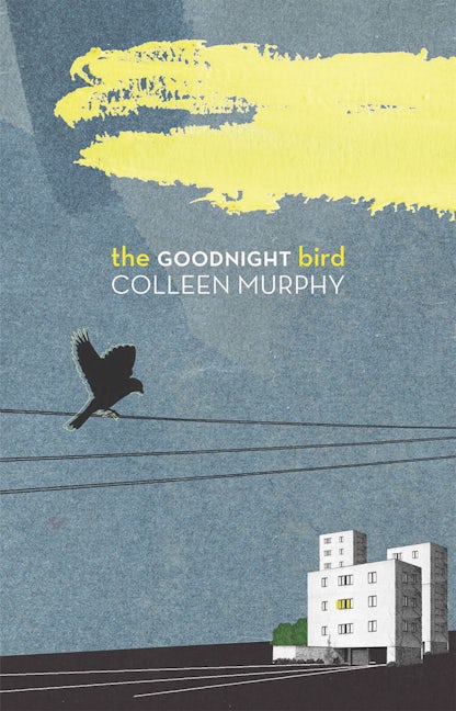 Book cover image for The Goodnight Bird ISBN: 9781770911208