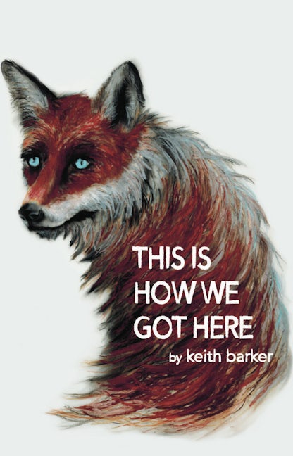 Book cover image for This Is How We Got Here ISBN: 9781770918221