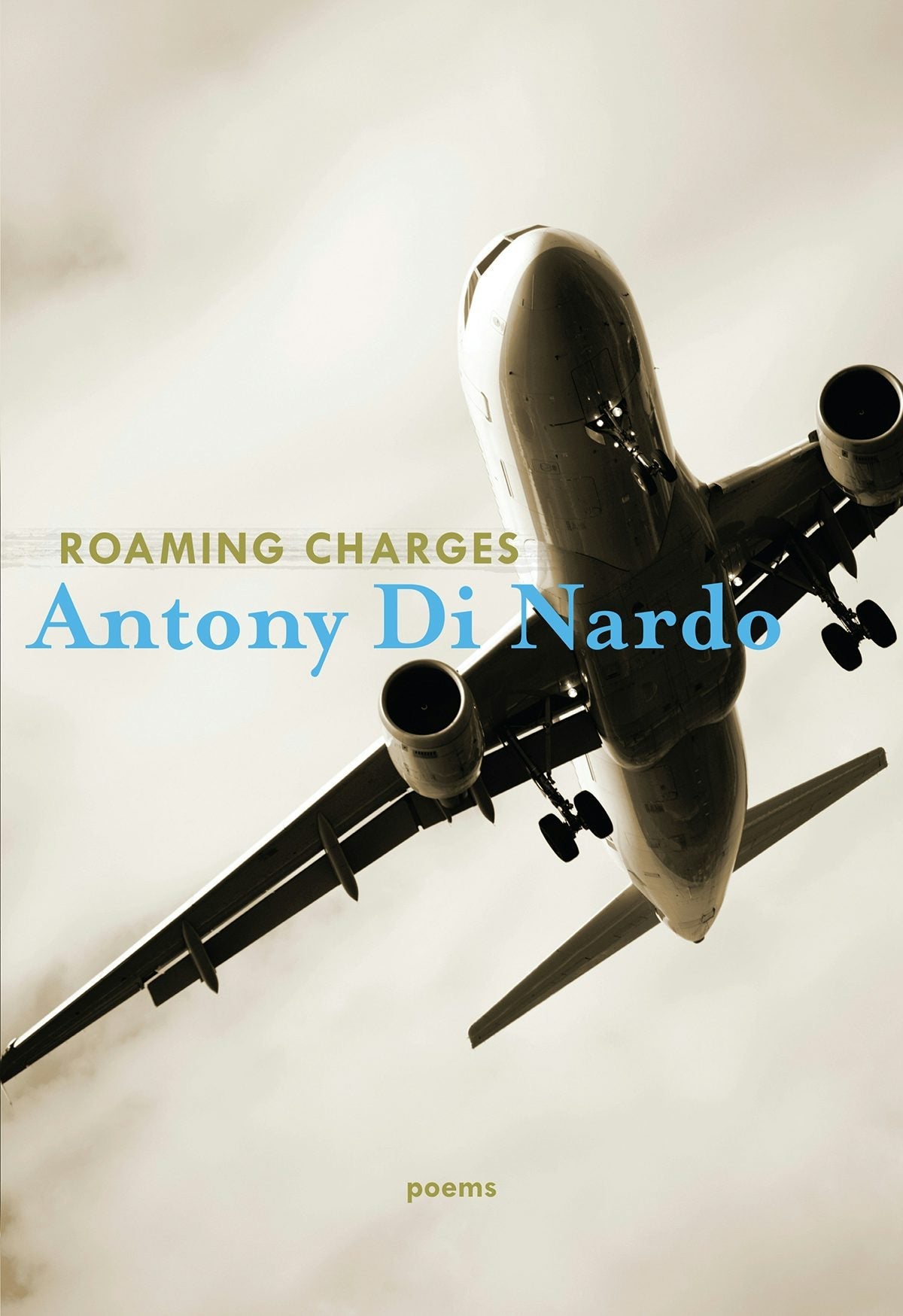 Book cover image for Roaming Charges ISBN: 9781771313483