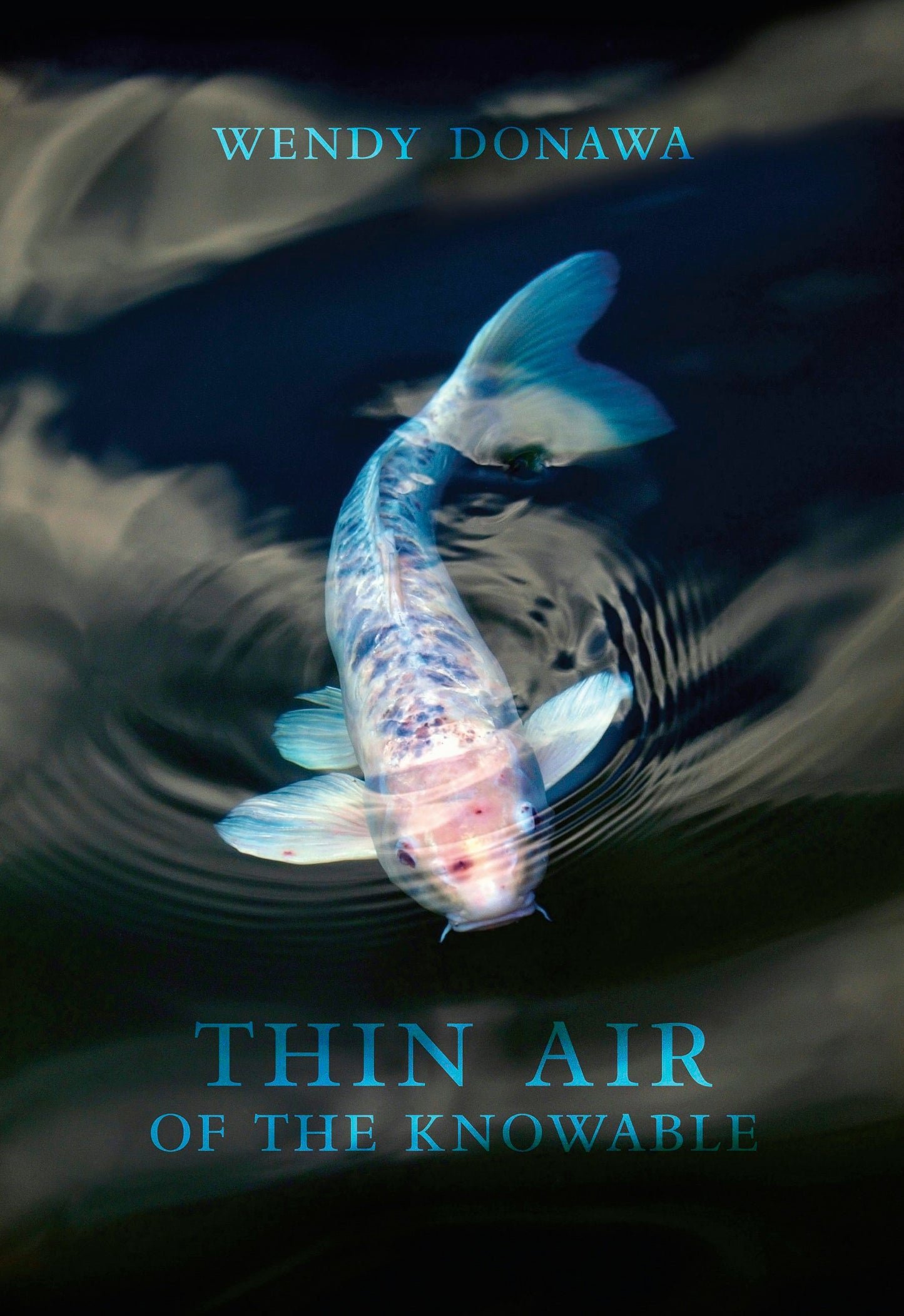 Book cover image for Thin Air of the Knowable ISBN: 9781771314602