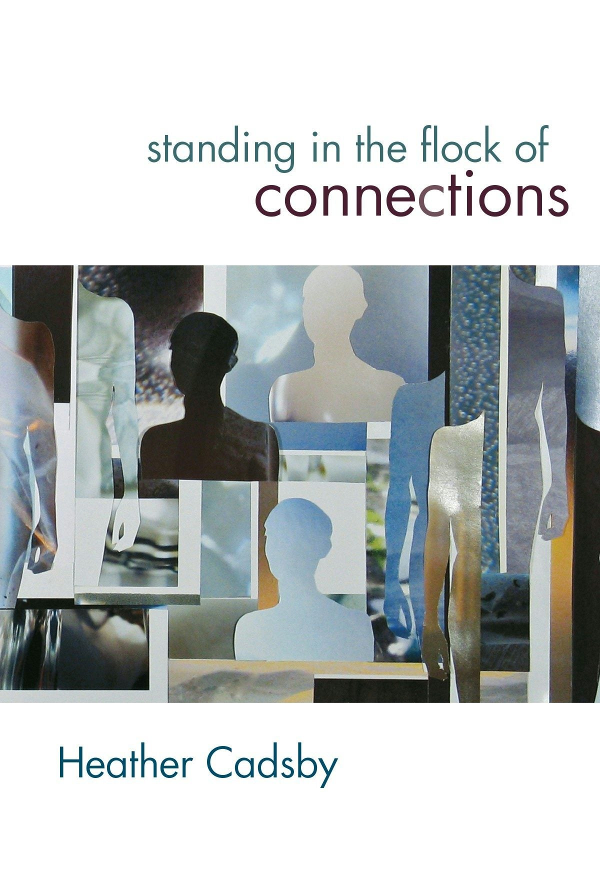 Book cover image for Standing in the Flock of Connections ISBN: 9781771314794