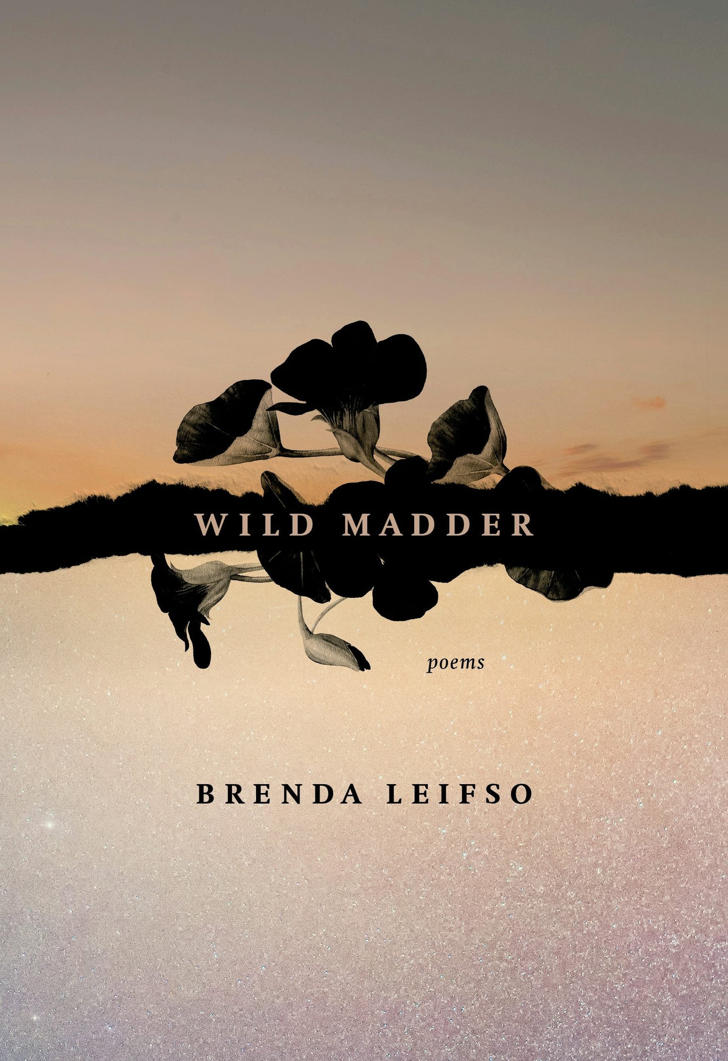 Book cover image for Wild Madder ISBN: 9781771315067