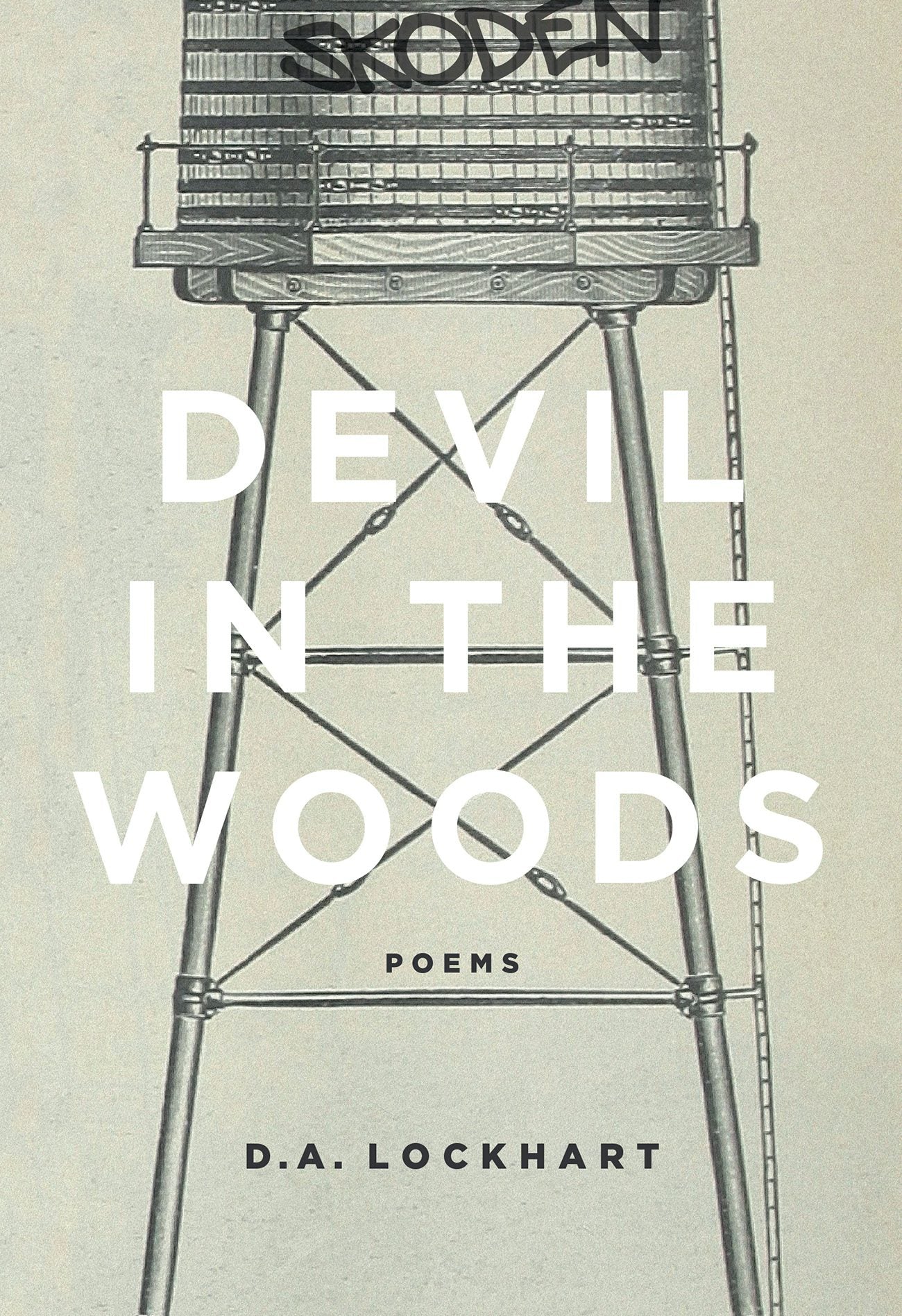 Book cover image for Devil in the Woods ISBN: 9781771315098