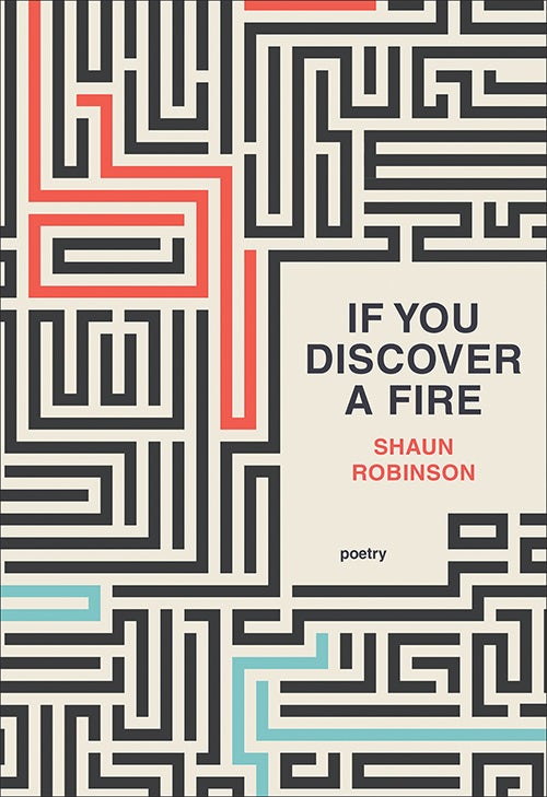 Book cover image for If You Discover a Fire ISBN: 9781771315272