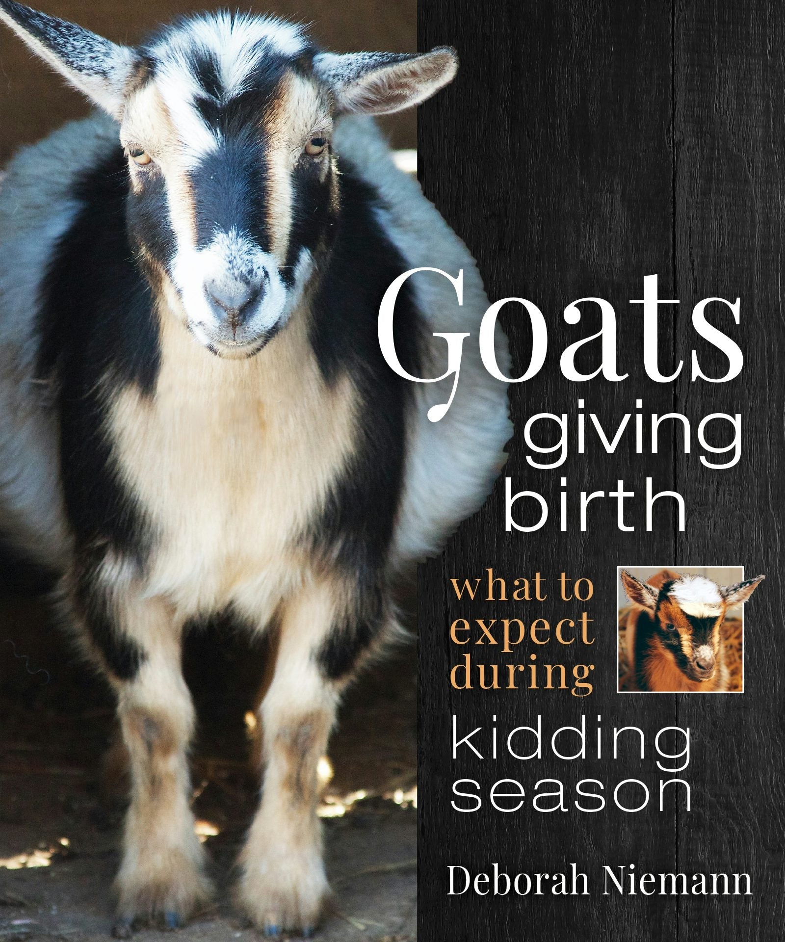 Book cover image for Goats Giving Birth ISBN: 9781771423311
