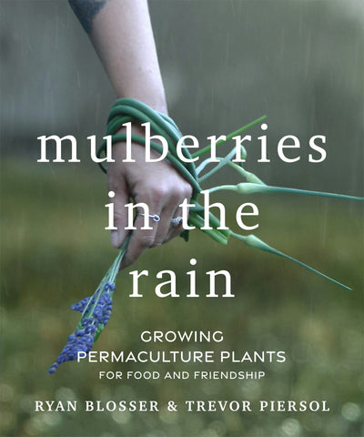 Cover image for Mulberries in the Rain, isbn: 9781771423922