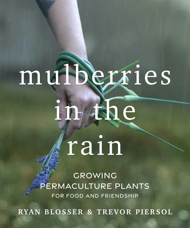 Cover image for Mulberries in the Rain, isbn: 9781771423922