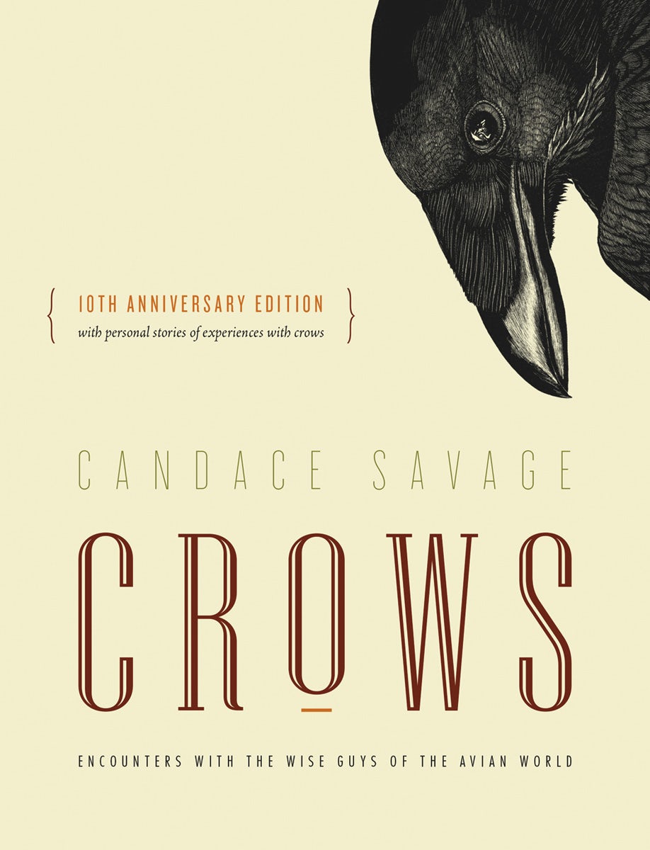 Book cover image for Crows ISBN: 9781771640855