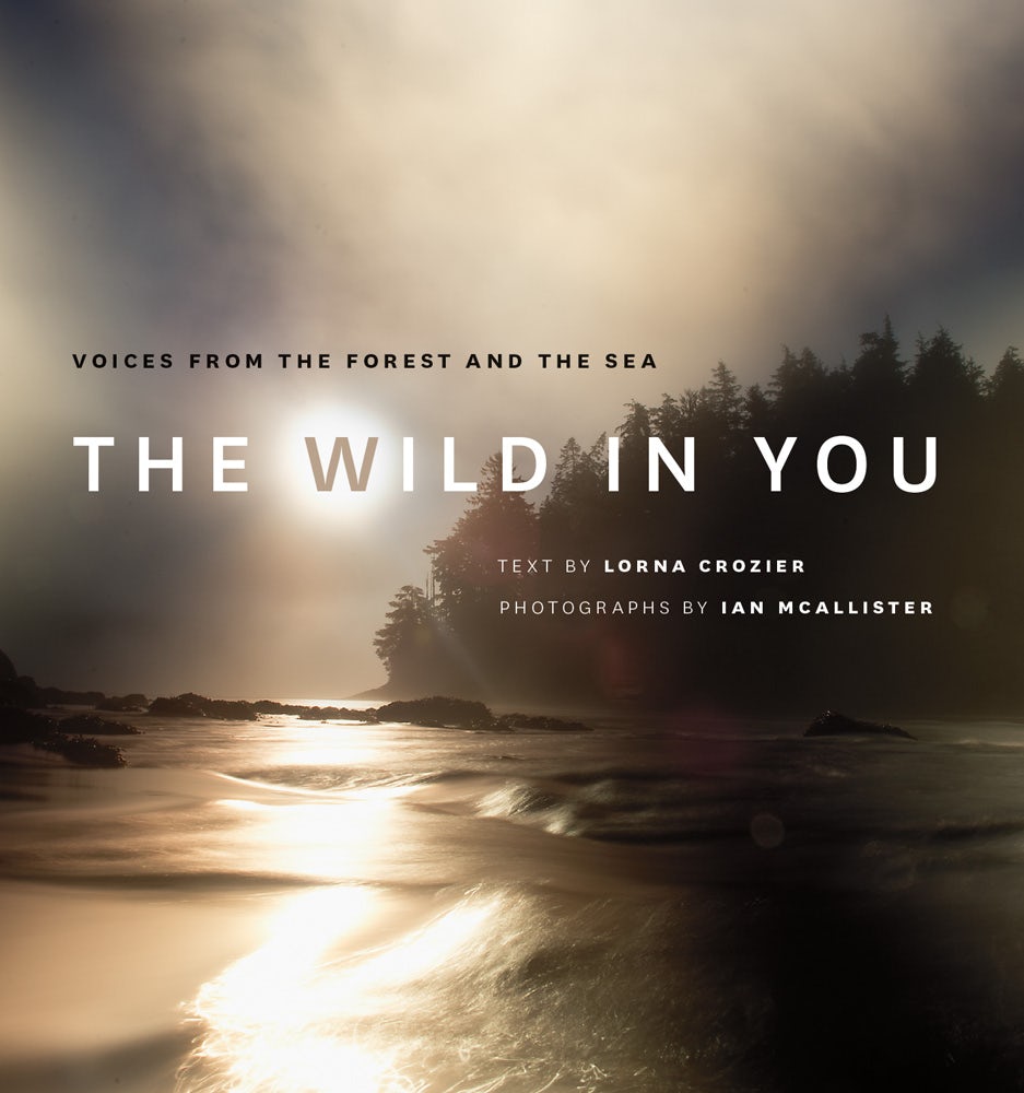 Book cover image for The Wild in You ISBN: 9781771641609