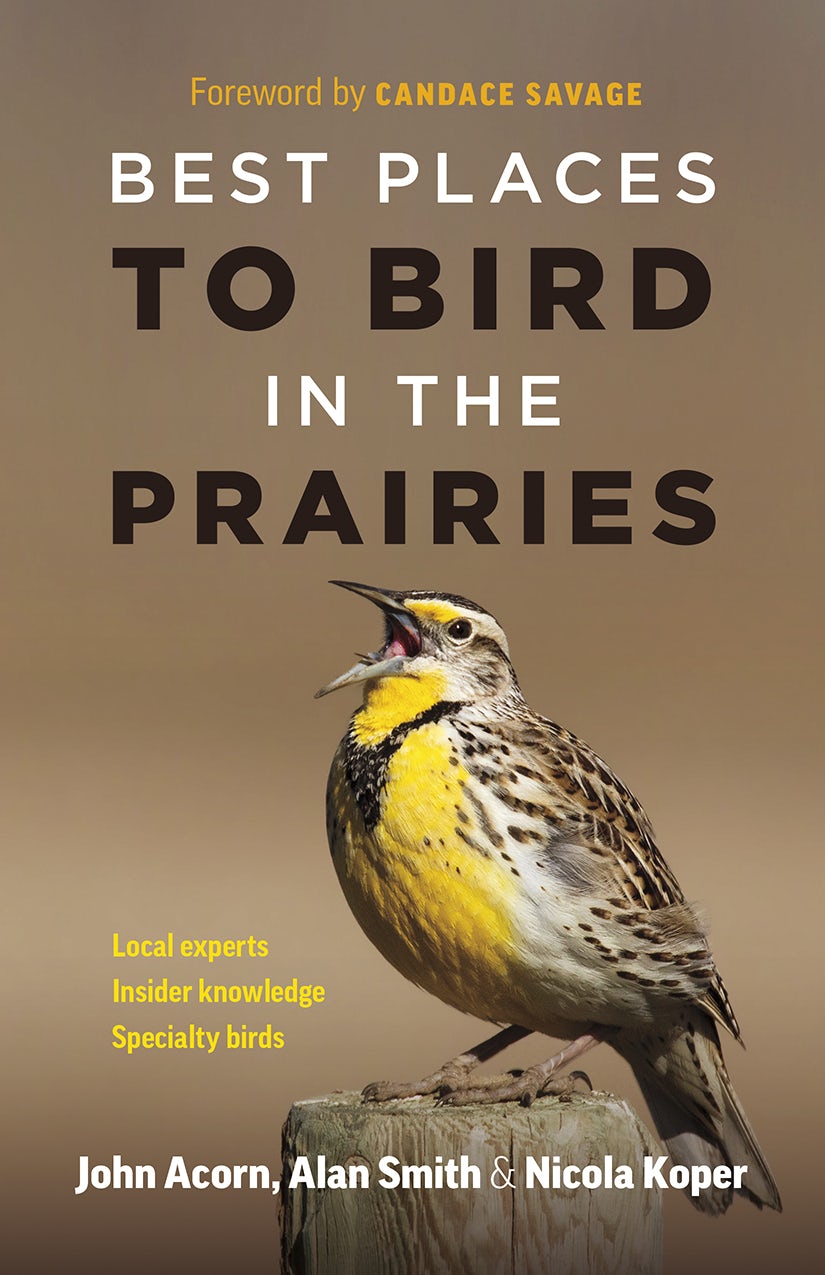 Cover image for Best Places to Bird in the Prairies ISBN 9781771643276