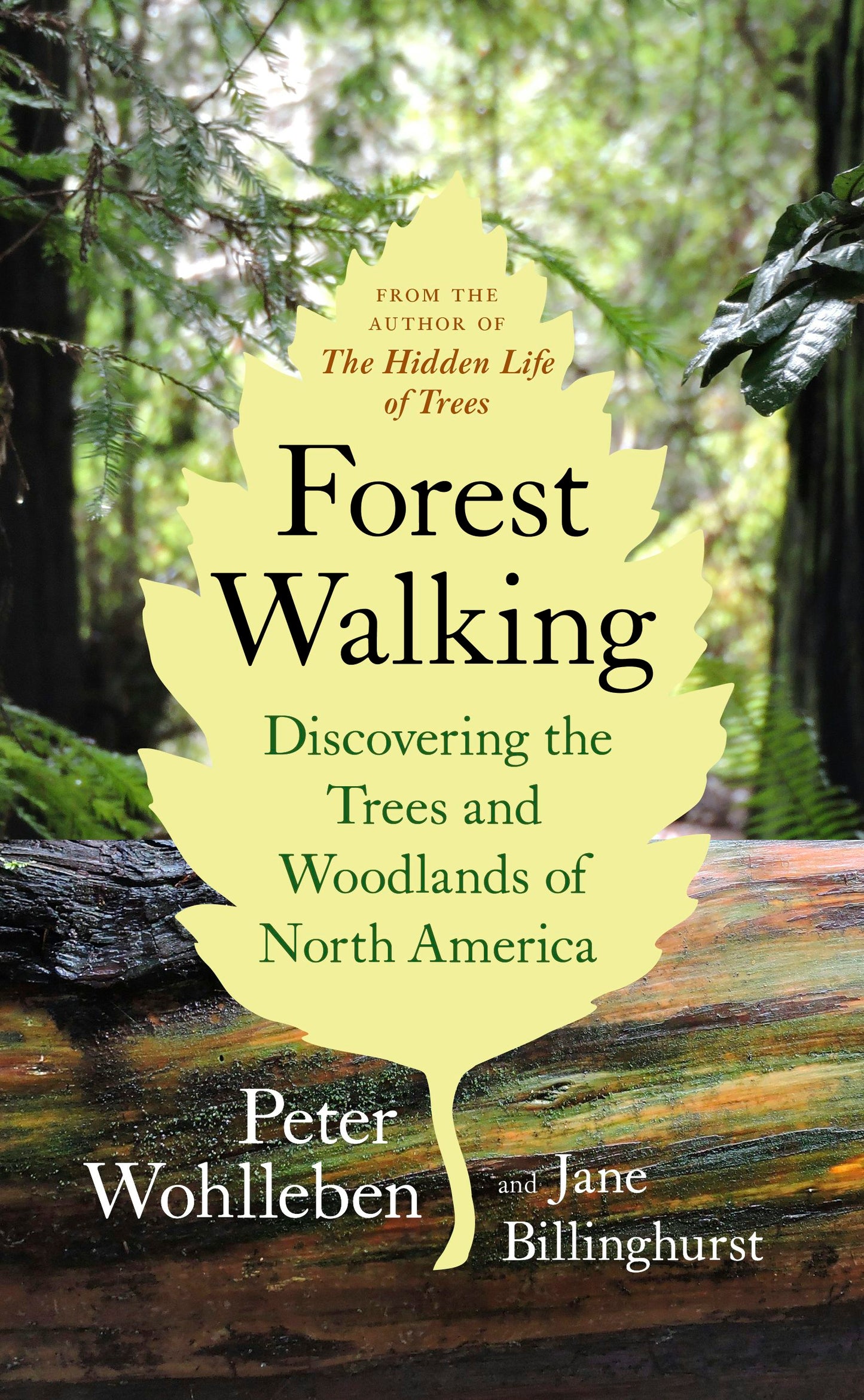 Book cover image for Forest Walking ISBN: 9781771643320