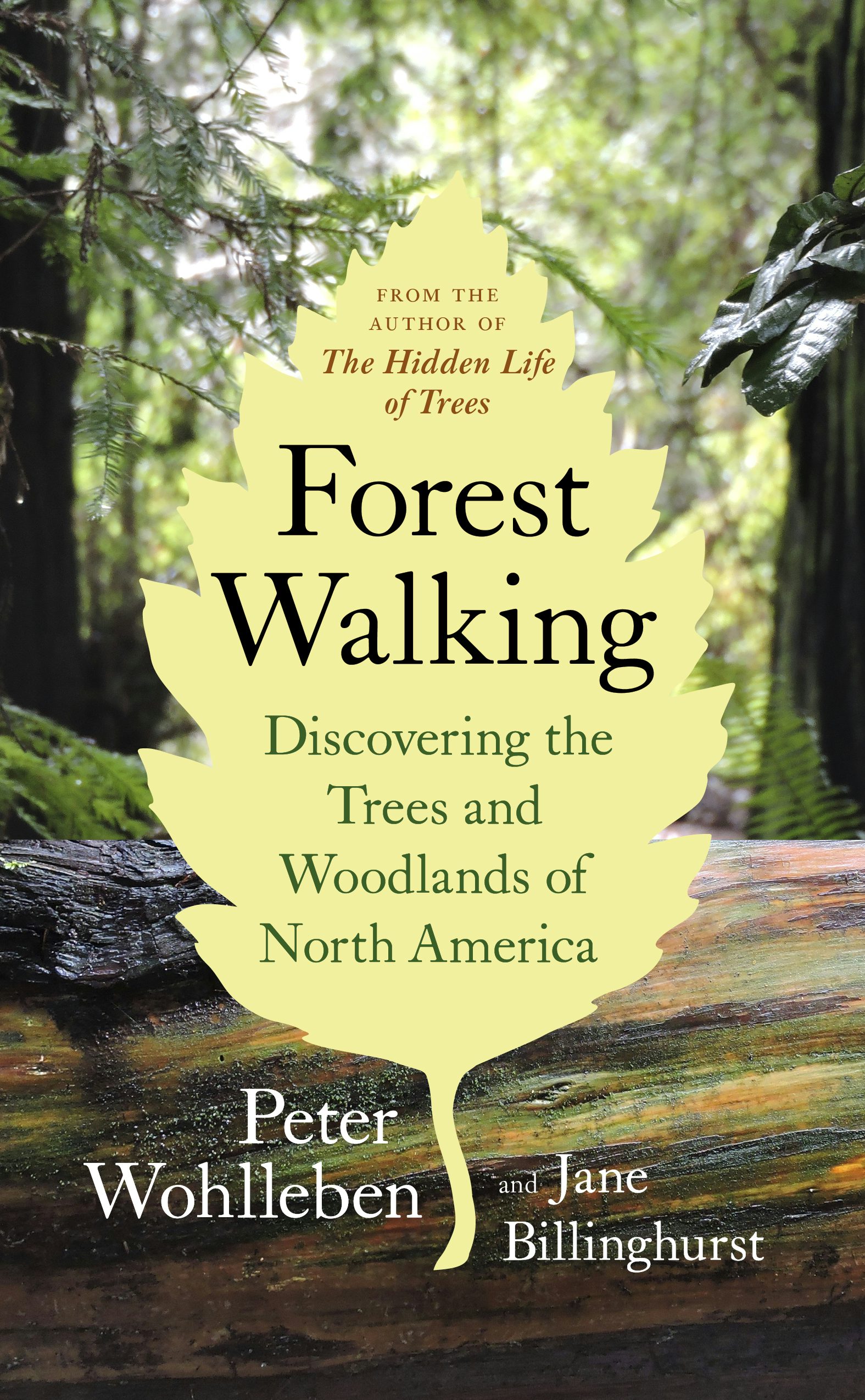 Book cover image for Forest Walking ISBN: 9781771643320