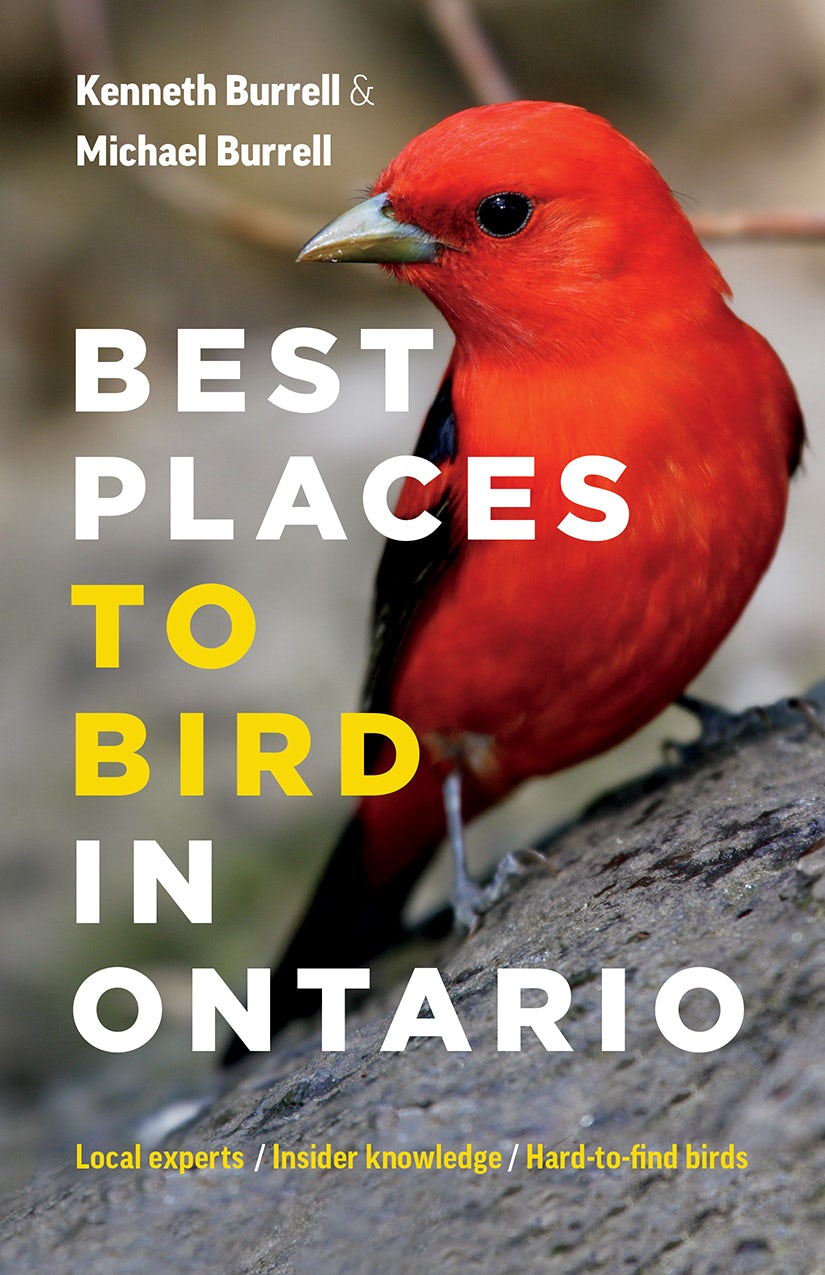 Book cover image for Best Places to Bird in Ontario ISBN: 9781771643641