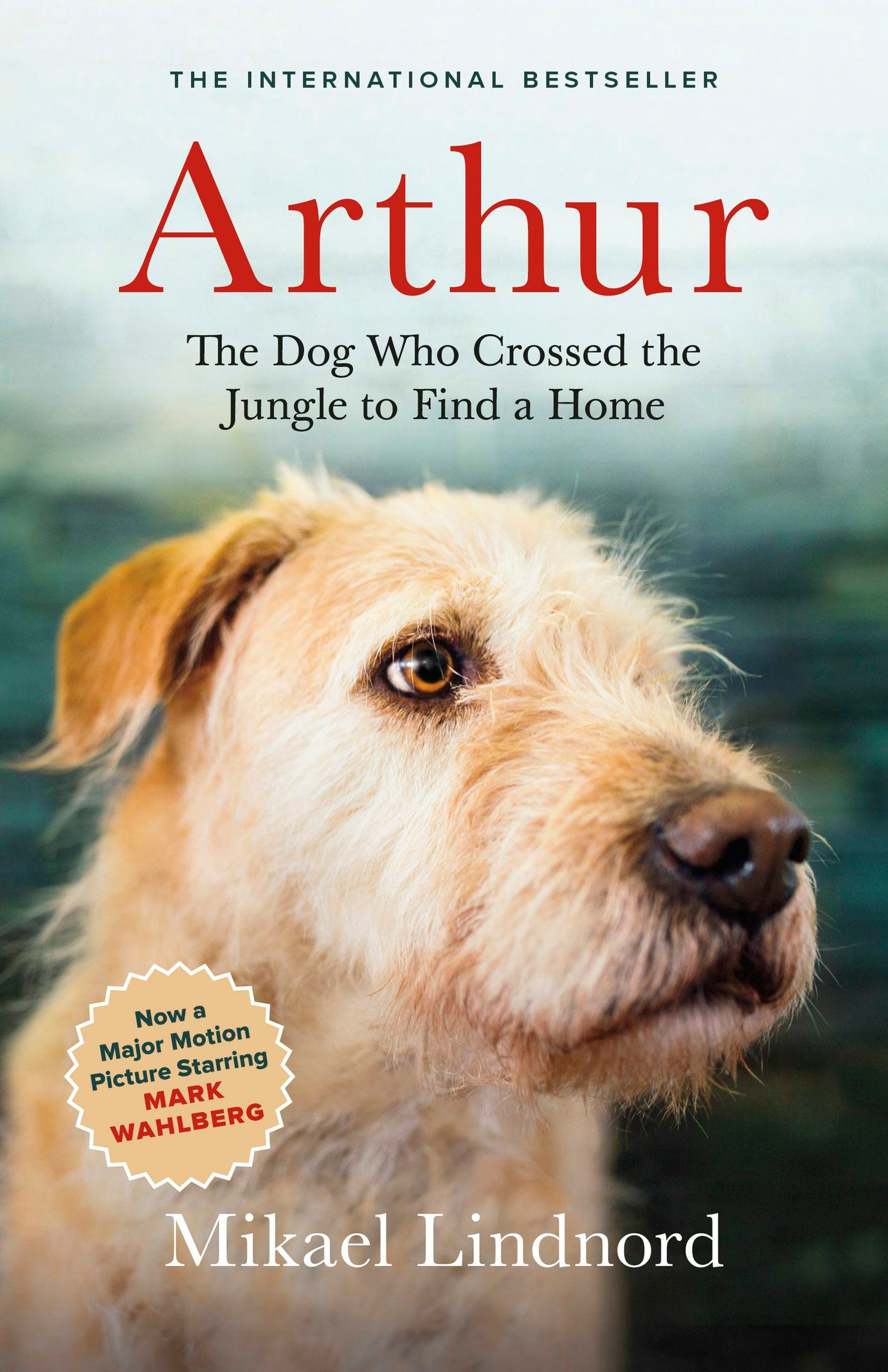 Cover image for Arthur ISBN 9781771643382