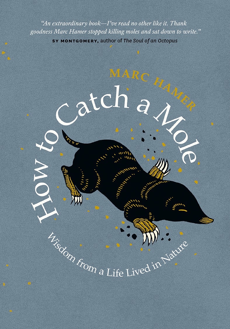 Book cover image for How to Catch a Mole ISBN: 9781771644808