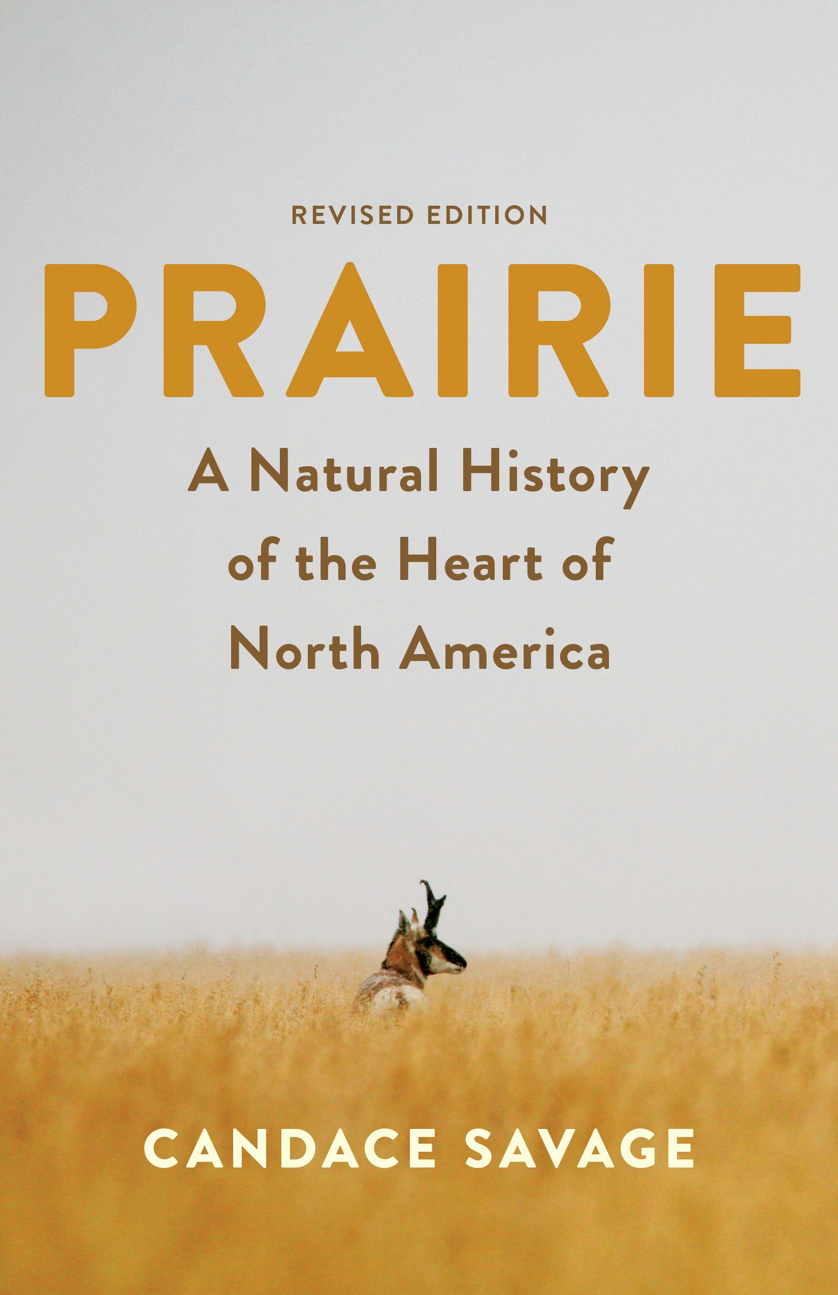 Book cover image for Prairie ISBN: 9781771645959