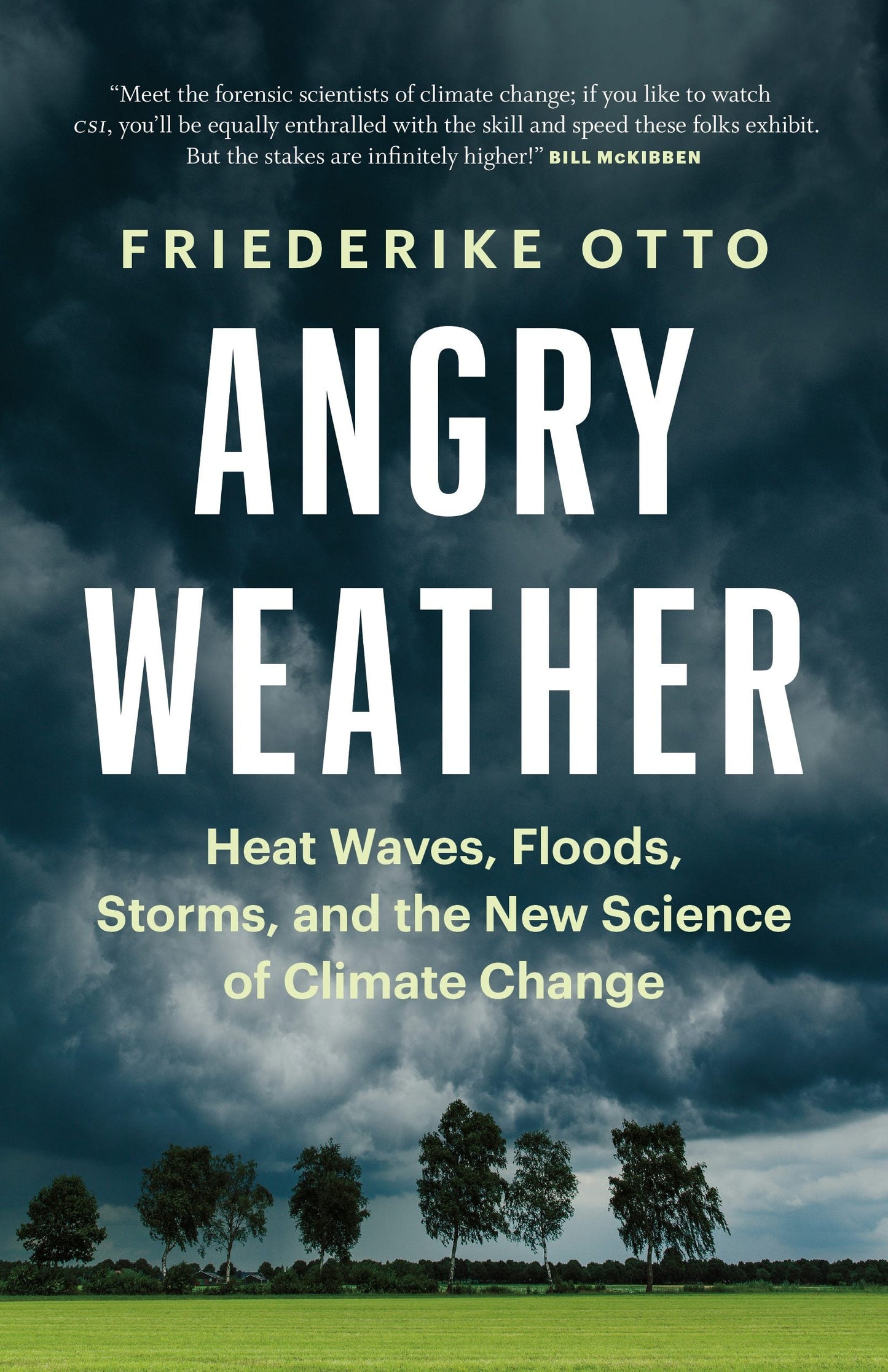 Book cover image for Angry Weather ISBN: 9781771646147