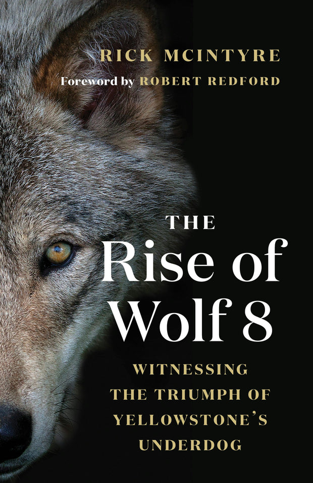 Cover image for The Rise of Wolf 8, isbn: 9781771647809
