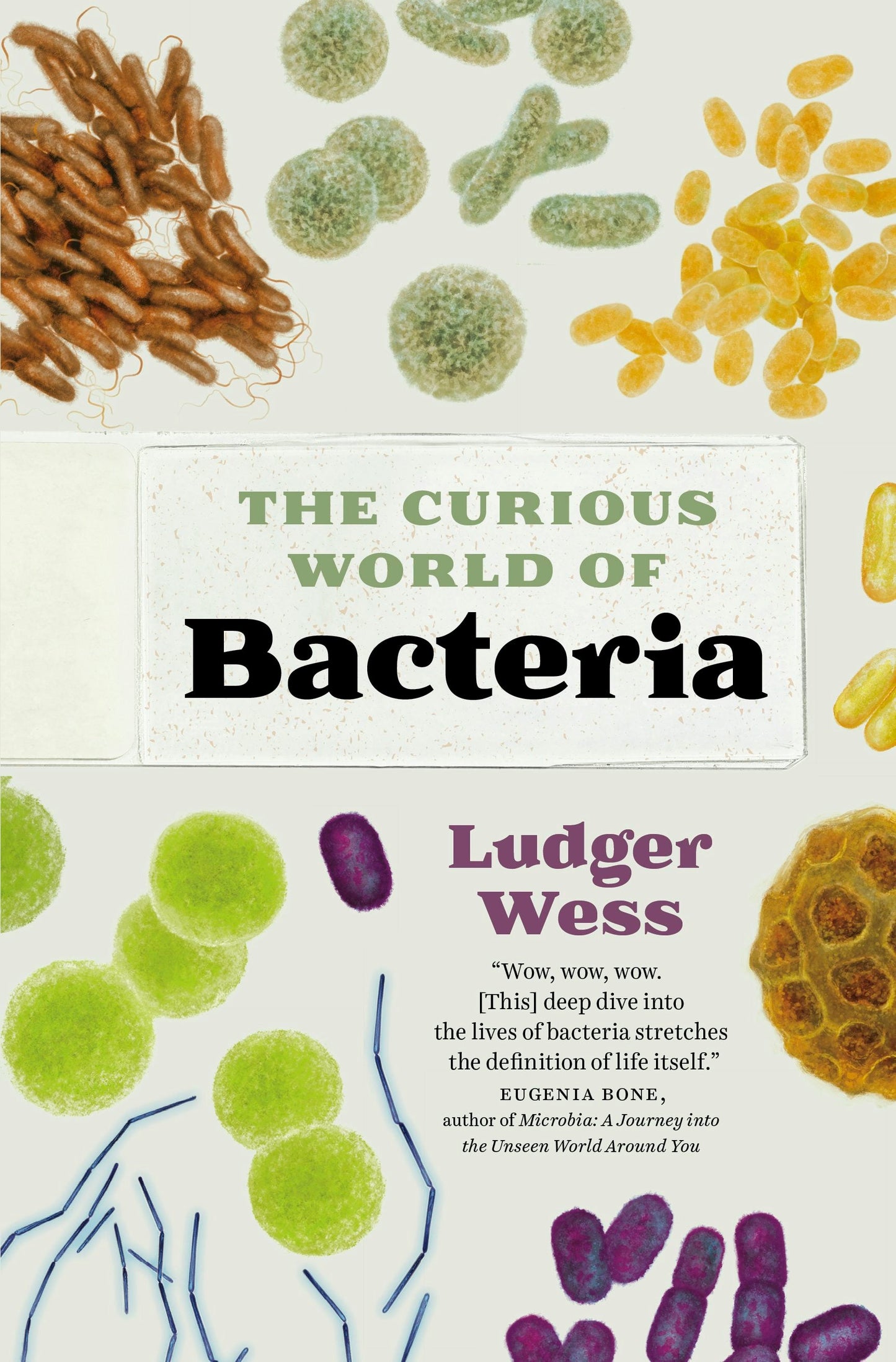 Book cover image for The Curious World of Bacteria ISBN: 9781771648257