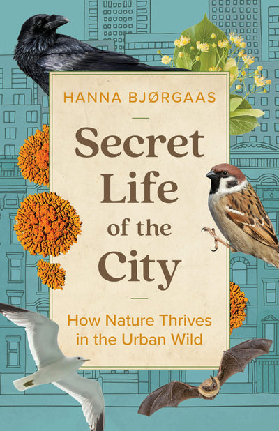 Cover image for Secret Life of the City, isbn: 9781771649353