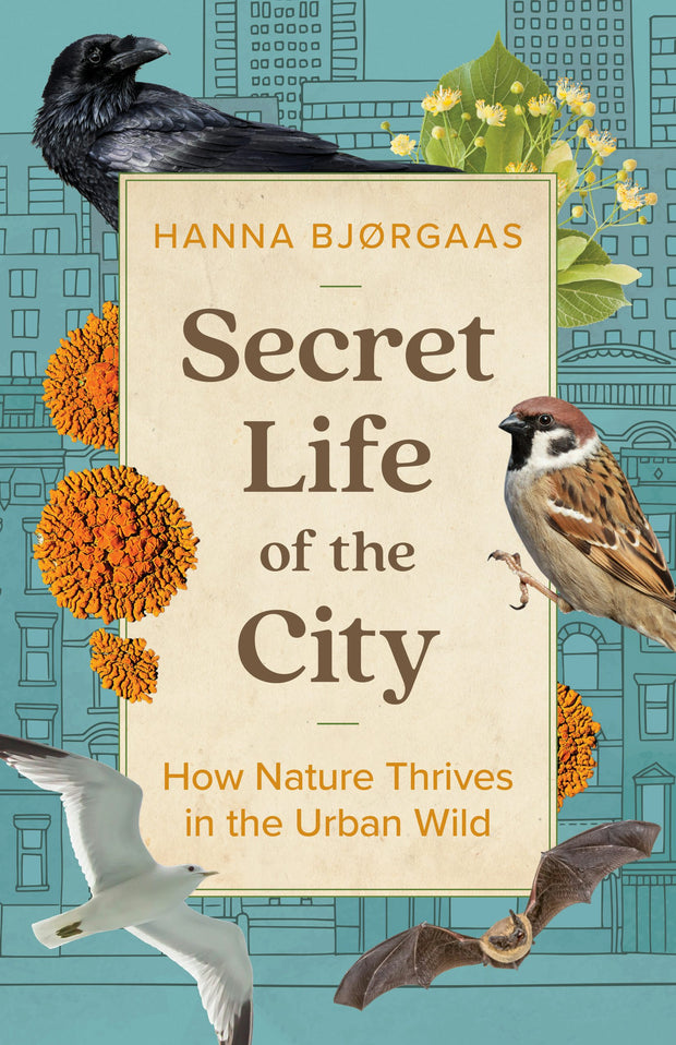 Cover image for Secret Life of the City, isbn: 9781771649353